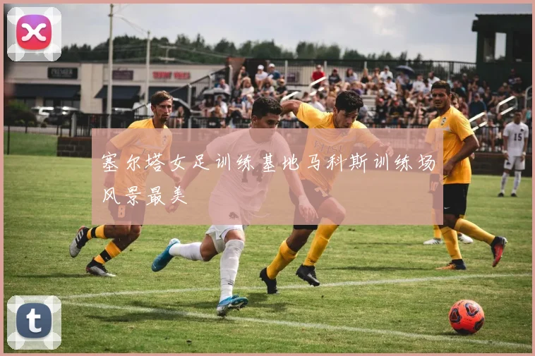 塞尔塔女足训练基地马科斯训练场风景最美