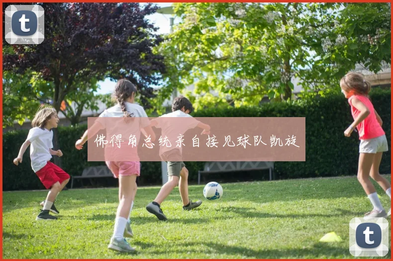 佛得角总统亲自接见球队凯旋
