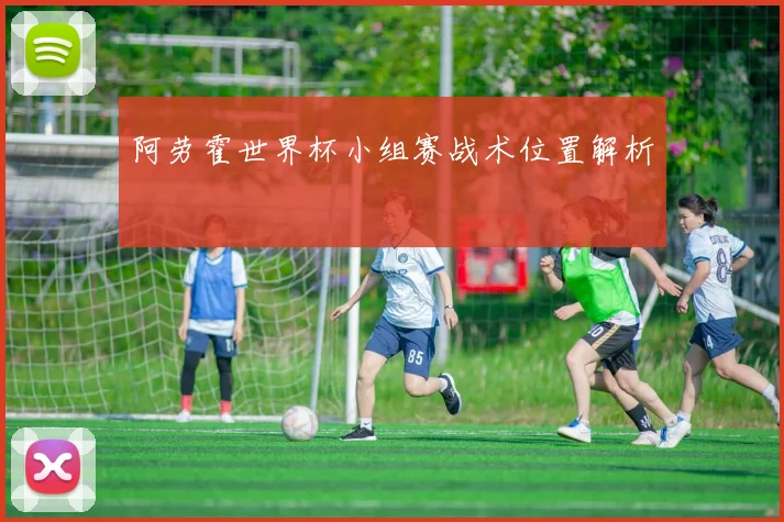 阿劳霍世界杯小组赛战术位置解析