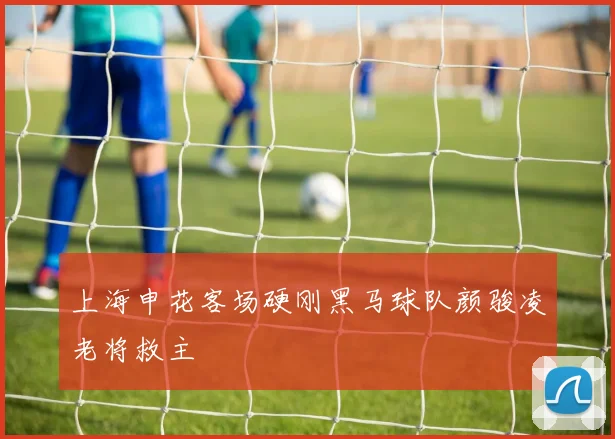 上海申花客场硬刚黑马球队颜骏凌老将救主
