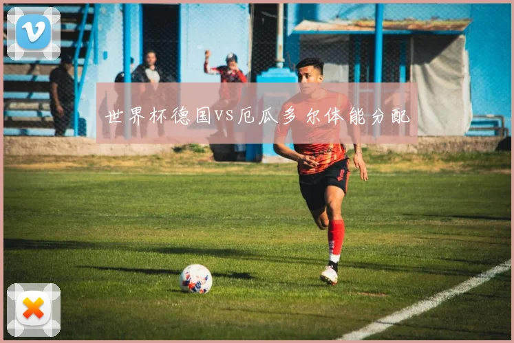 世界杯德国vs厄瓜多尔体能分配